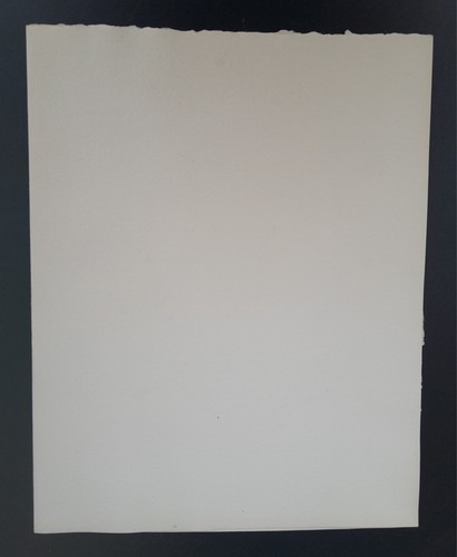 Ancien porte document Florilège de La feuille blanche 1957 musée de la Dentelle - Picture 6 of 6