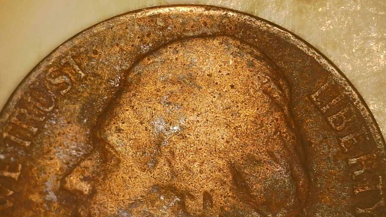 Picture 5 of 15