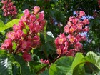 Bild 4 von 7