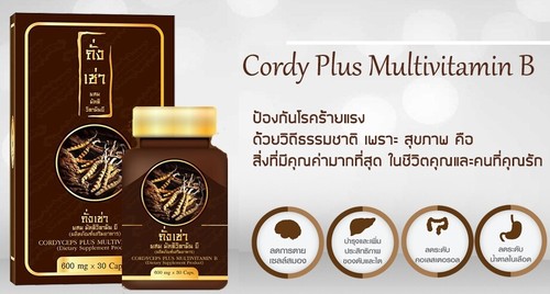 3 x 30Caps Cordyceps Plus Multi Vitamin B Increase Performance Increase Immunity - Picture 4 of 12