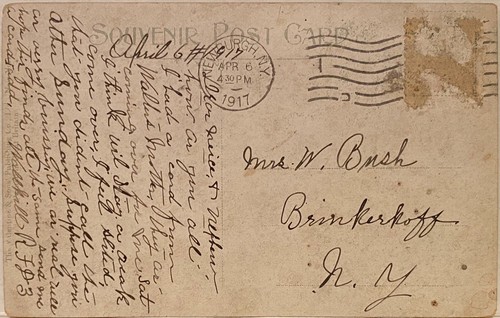Daytona FL ~ Palmetto Street & Ivy Lane Inn ~ Early Postcard ~ Volusia County - Picture 2 of 2