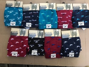 hollister underwear for women