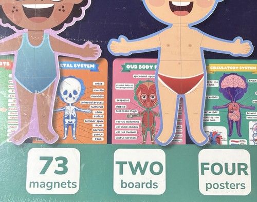 QUOKKA Magnetic Body Set Puzzles for Kids | Anatomy | New Sealed Box - Picture 5 of 7