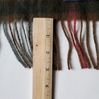 Bild 11 von 12