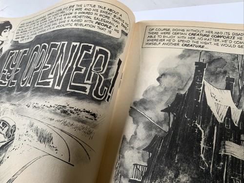 Vampirella #20, octubre de 1972, revista Warren, 6,5 bien+, #RN - Imagen 12 de 14