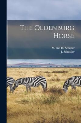 Schssler - Das Oldenburger Pferd - Neues Taschenbuch oder Softback - J555z