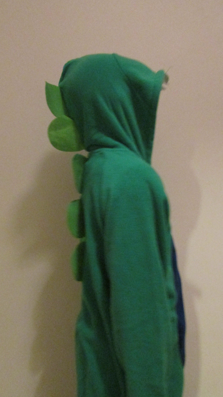 Picture 13 of 43