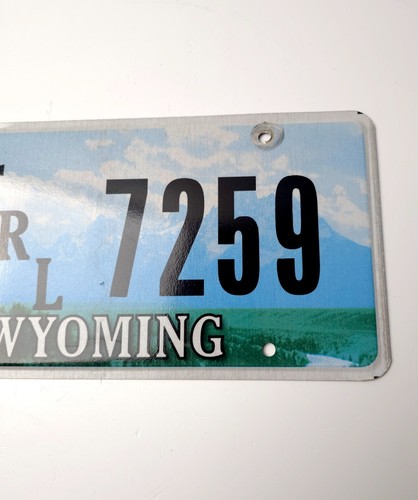 Matrícula WYOMING 2008-16 (etiqueta 2015) | Condado de Sublette | 23-7259 - Imagen 2 de 4