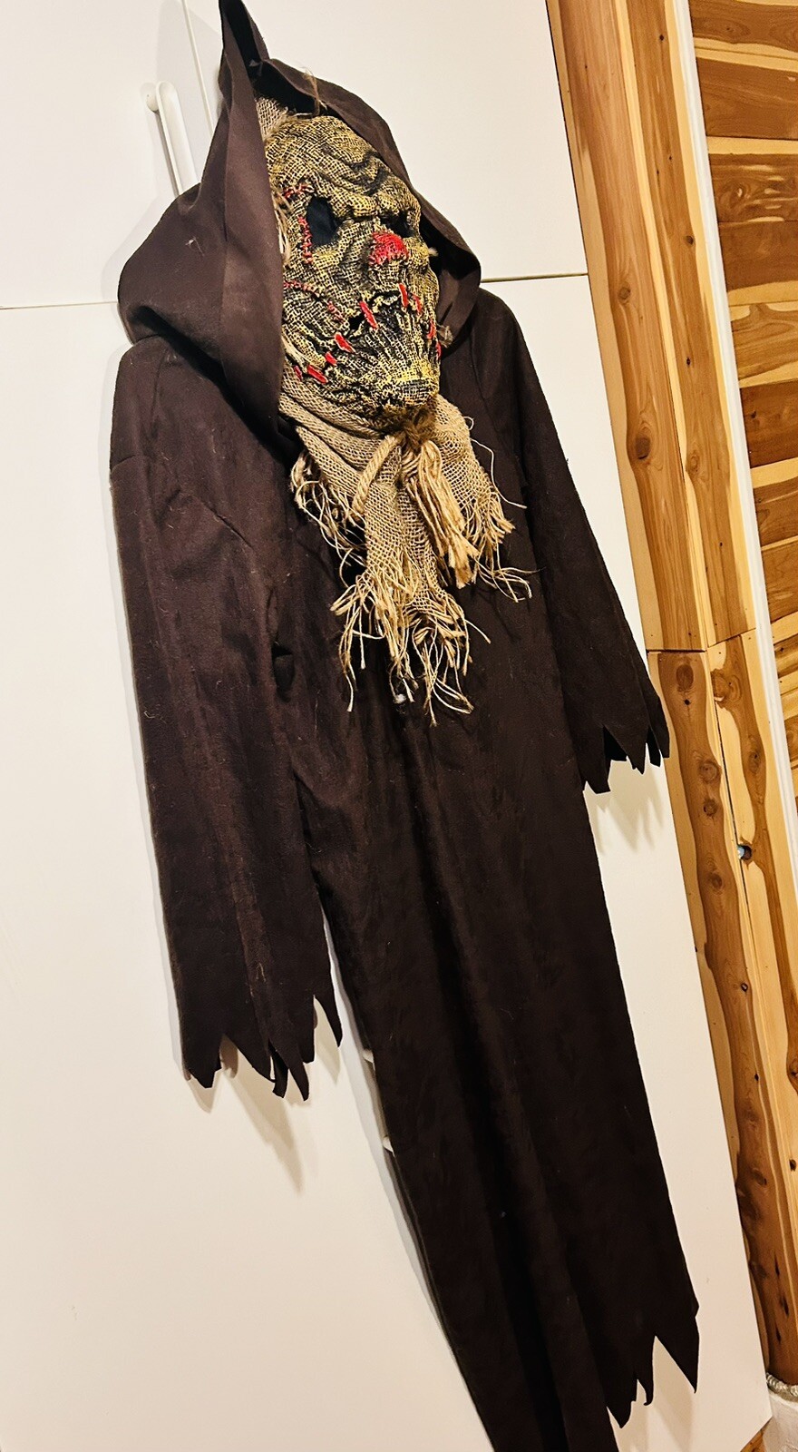 Picture 5 of 12