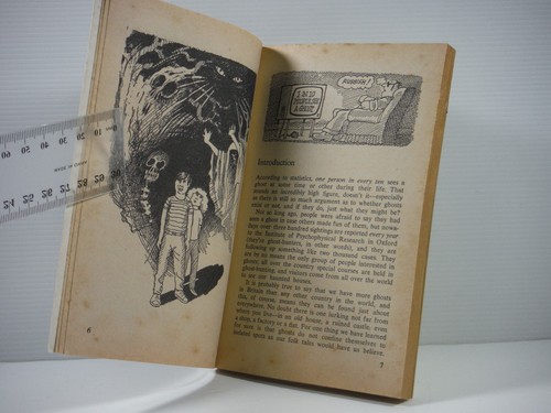 Fun To Know About Ghosts by Sean Richards 1979 vintage PB guide book Scarce - Bild 6 von 12