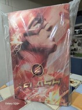 Brand New Hot Toys TMS009 THE FLASH 1 6 Figure 12 '' In Stock