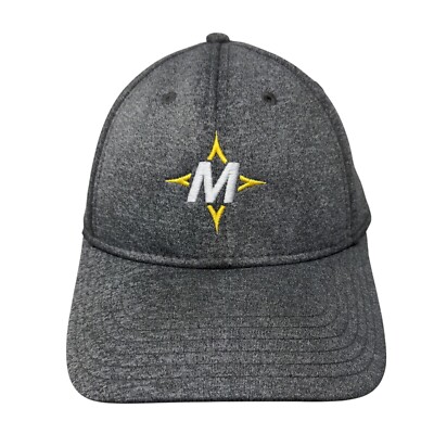 Mister Car Wash Strapback Hat Gray OSFM Adjustable