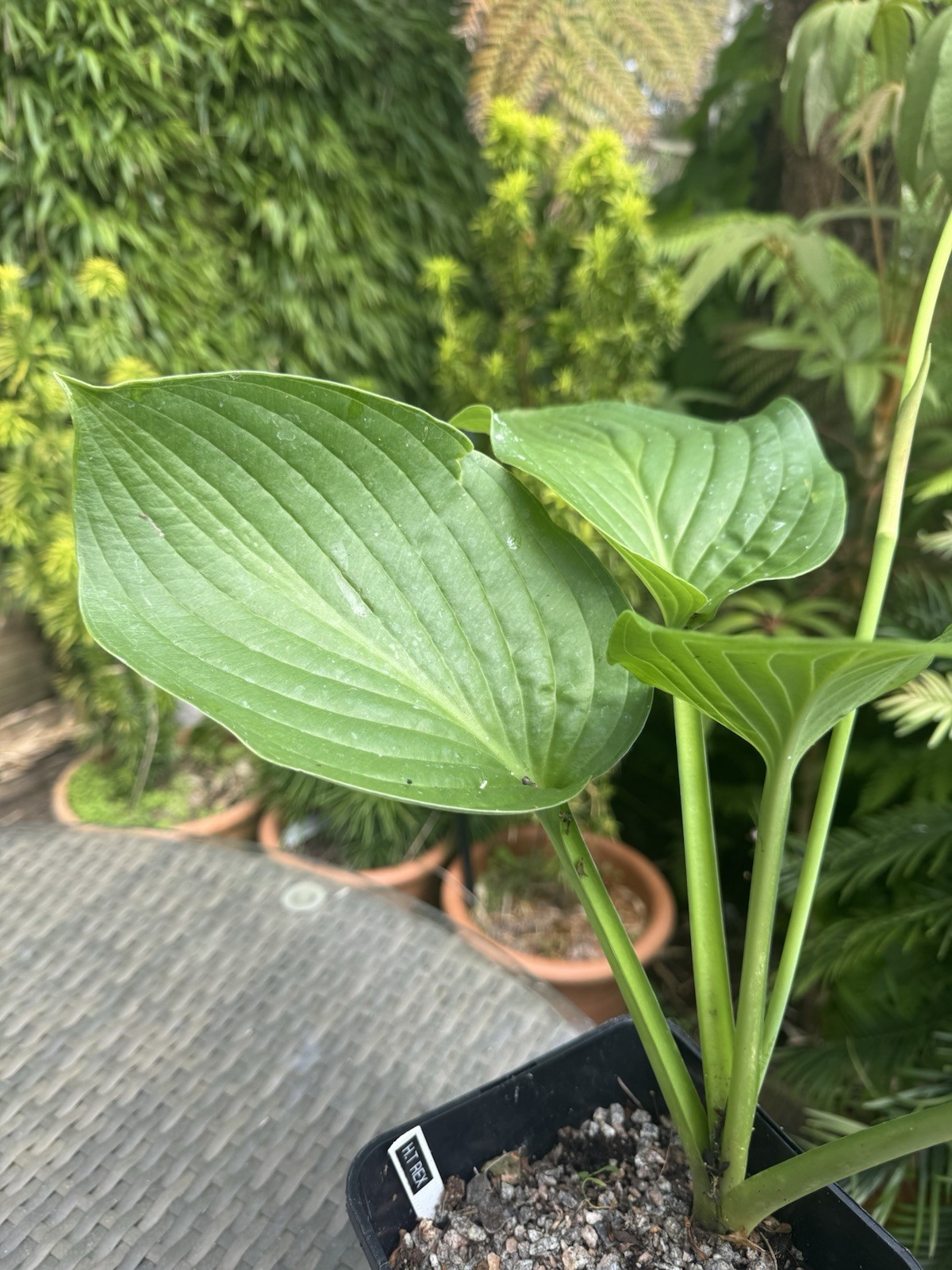 Picture 5 of 6