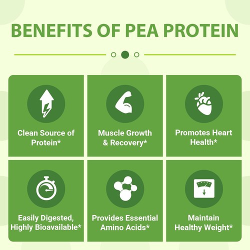 Organic Pea Protein Powder, 27g Proteins Per Serving,Plant Based 100% Vegan C... - Picture 5 of 8