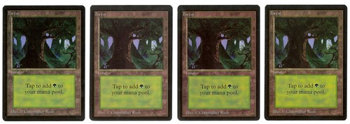 1993 Magic the Gathering 4 BETA DARK FOREST Basic Land NEVER PLAYED!