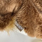 Foto 8 di 10