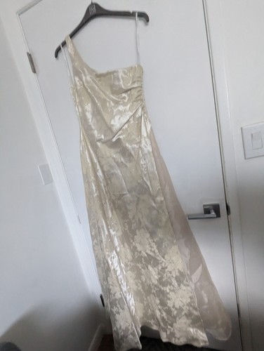 Masquerade Cream Ivory Formal Ball Gown Dress Prom Ren Faire Size 13/14 Ivory - Picture 4 of 12