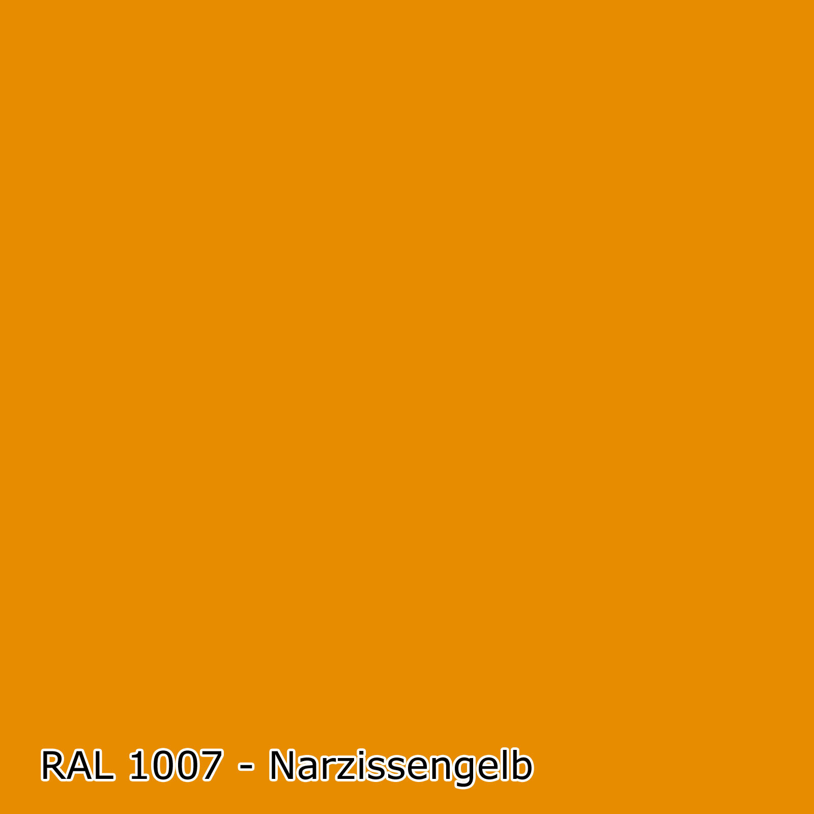 Bild 10 von 50