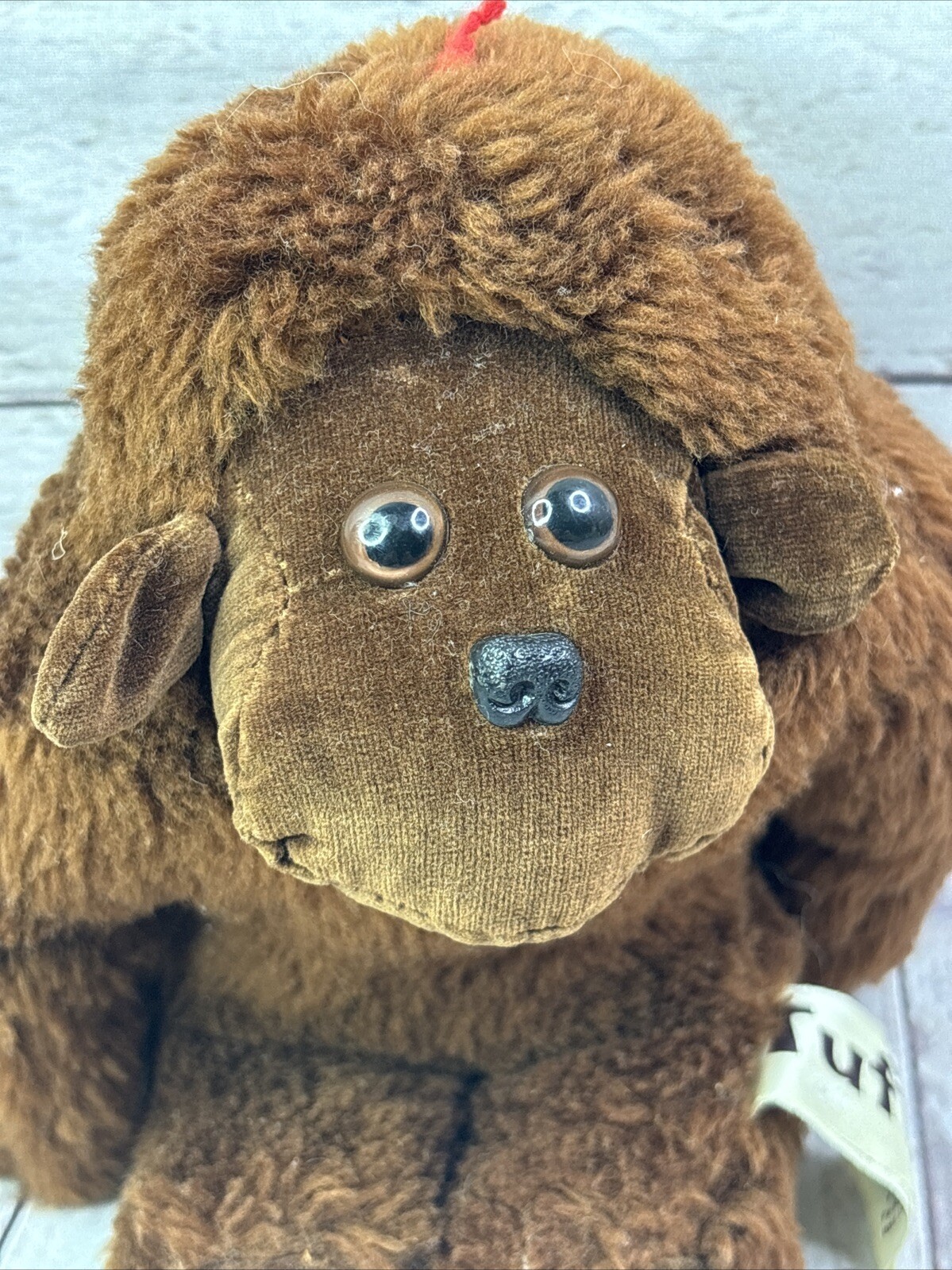 Bild 7 von 11
