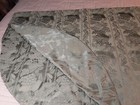 Picture 6 of 7