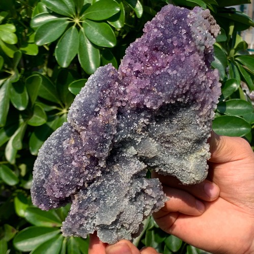 2.64LB Natural Grape Agate Chalcedony Crystal Mineral Sample - Picture 11 of 14