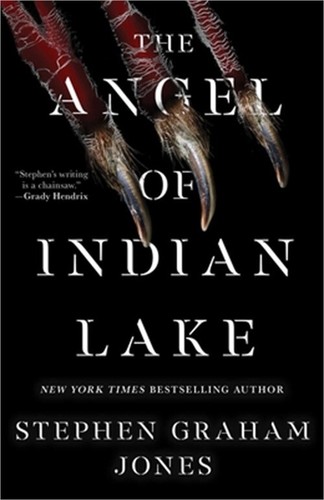 The Angel of Indian Lake (Hardback or Cased Book)