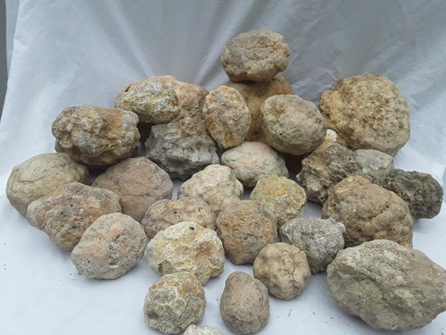 ONE Unopened GEODES 2"-3" Break Your Own Quartz Crystal Agate Natural Uncut Gem - Picture 11 of 12