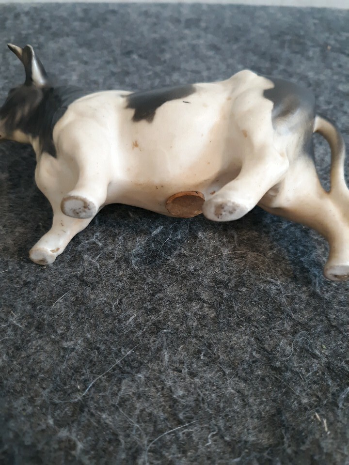 Bild 9 von 13