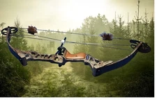 Champion Hurricane Powerflex Archery deer hunting Compound Bow 29" Draw 70 lb