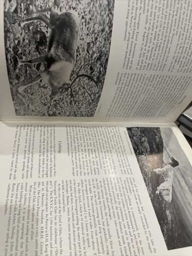 Norway To-Day Norge A Book Nature Culture Economics Norwegian Culture Translated - Bild 13 von 24