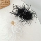 Bild 11 von 16