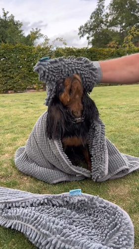 Ancol Dog Drying Coat Glove Mitt Mat Simply Dry Mud Warm Wet Microfibre Noodle - Video 1 of 1