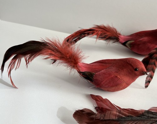 7 adornos florales de cola larga con cable de pájaros pinzón rojo flocado emplumado de colección - Imagen 7 de 15