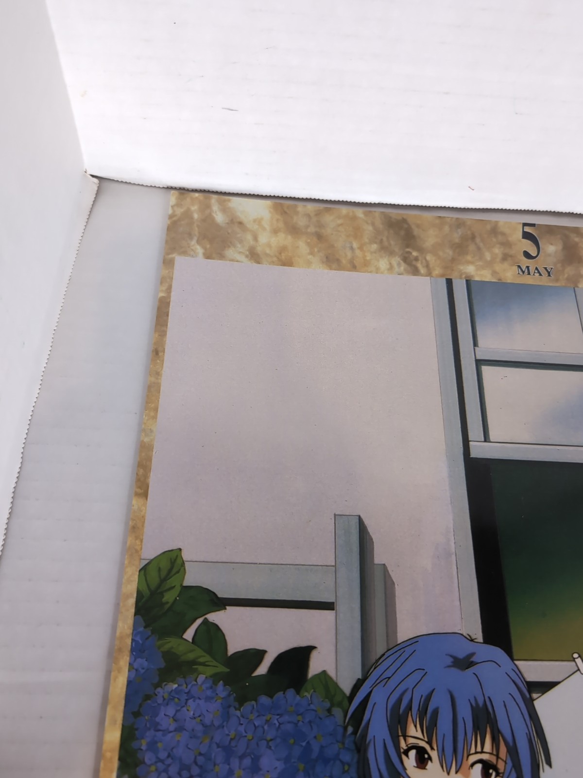 Bild 5 von 5