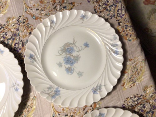 Haviland Limoges BERGERE (6) Dinner Plates 10 1/4” Blue Floral Excellent! BxOO-4 - Picture 7 of 17
