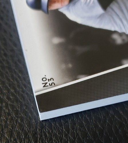 Mickey Mantle 2018 Panini National VIP Green 💥/10 Player Worn PINSTRIPE RELIC - Picture 9 of 12