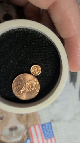 MINIATURE COIN 1840 BRAIDED HAIR HALF CENT PROOF LIKE COPPER - Video 1 of 1