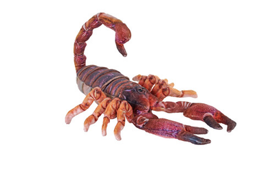 #ad Wild Republic Living Earth Scorpion Stuffed Animal 25 inch Plush Toy Fill... $24.99