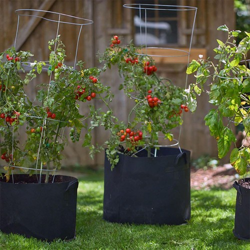 5-Gallon Modern Lightweight Non-Woven Insulating Fabric Breathable Grow Bags ... - Picture 7 of 9
