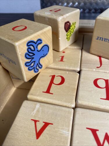 Pottery Barn Kids Alphabet Blocks 26 Wooden Pictures and Words in Box - Picture 3 of 7