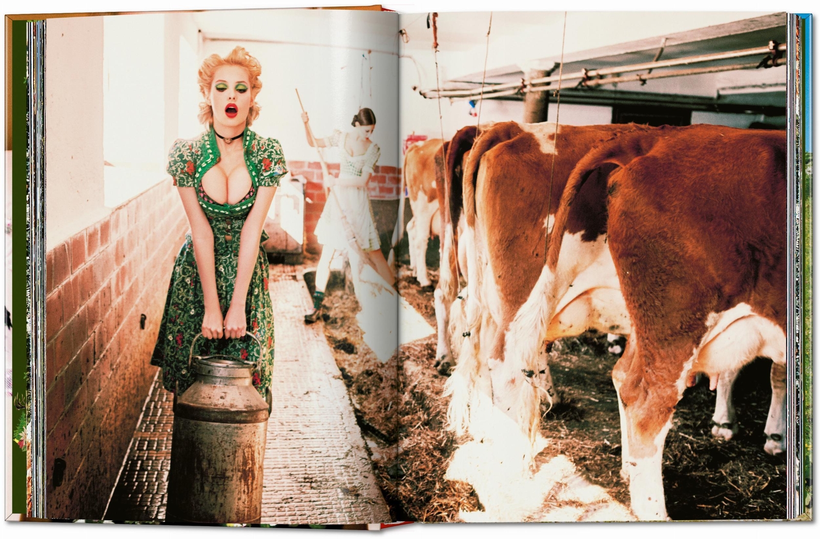 Thumbnail - Ellen Von Unwerth | Ellen Von Unwerth. Heimat | Buch | Deutsch (2024)