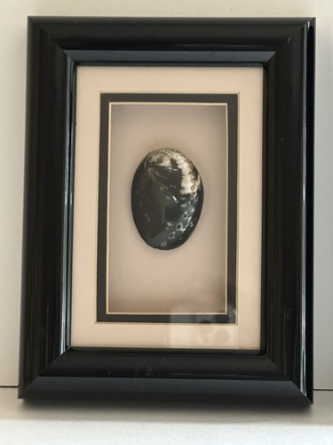 Framed Sea Shells Shadow Box Set-2 Sea Reflections 6x8 Coastal Decor Office - Picture 9 of 15