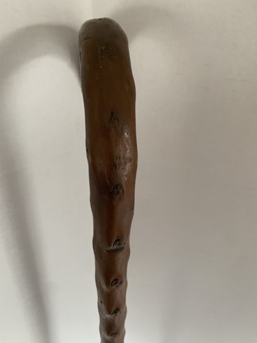 Vintage Irish Blackthorne Smooth Brussel Sprout Walking Cane Stick 33In Long - Picture 8 of 24