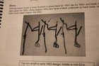 Picture 4 of 4