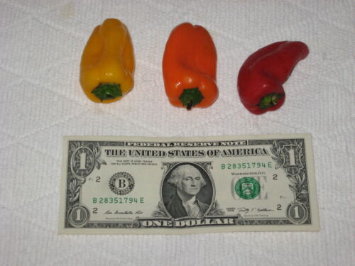 SWEETEST RED,YELLOW,ORANGE MINI BELL PEPPER SEEDS (20 SEEDS ) strawberry sweet - Picture 2 of 3