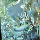 Picture 6 of 11