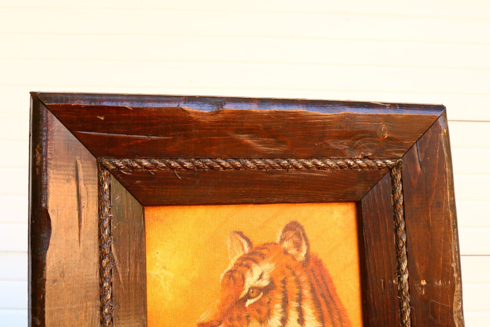 Picture 5 of 12