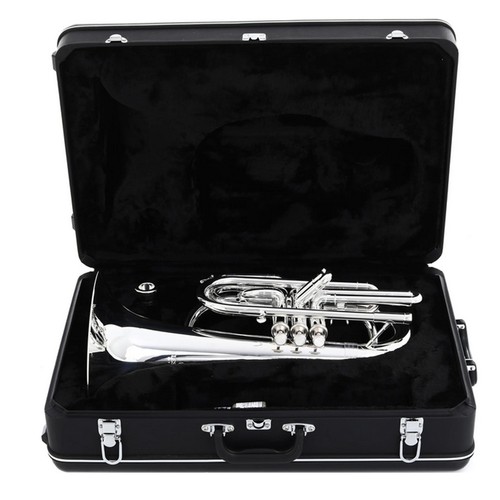 Blessing Marching Baritone in Bb, .571" Bore, Silver-Plate, Outfit - Picture 5 of 5