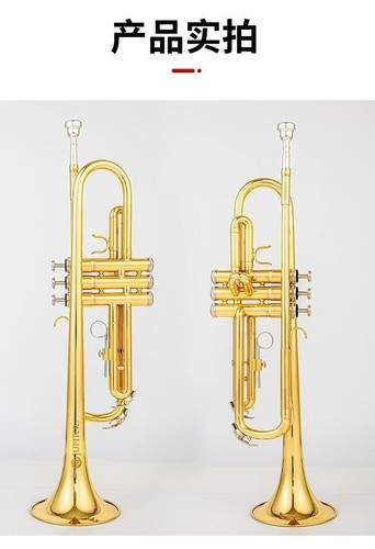 Brand New Quality 500Q Trumpet Instruments with Case and Accessories - Picture 3 of 6