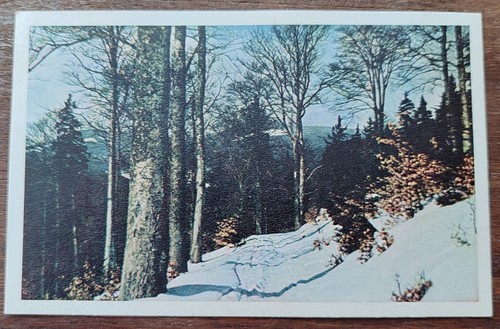 STAMPS POSTCARD GERMANY REICH  POSTAL HISTORY NICE LOT AG/11 - Picture 2 of 2